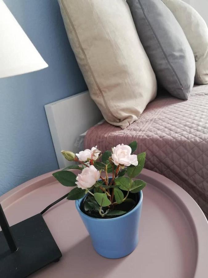 The Rose Apartment Volos Luaran gambar